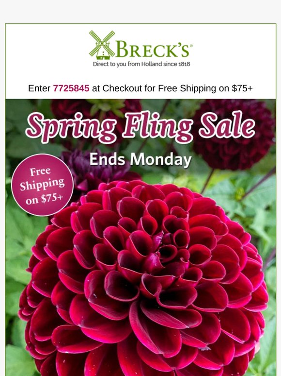 You've Been Chosen to Get FREE Shipping!