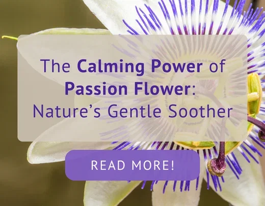 The calming power of Passion Flower