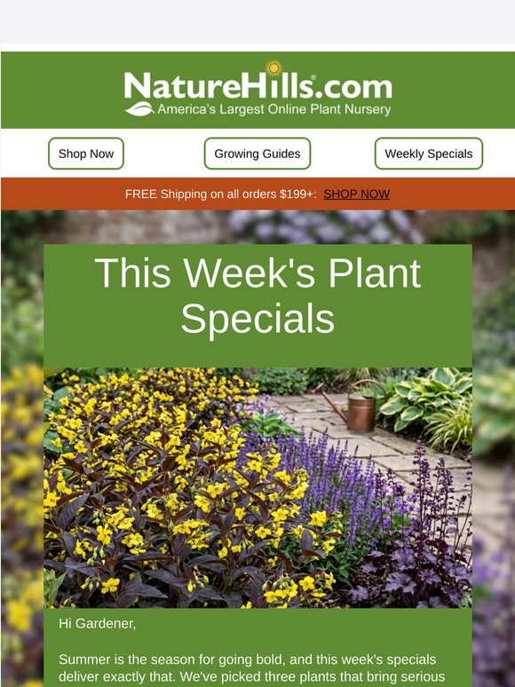 This Week's Specials: Bold Color, Tropical Vibes & More