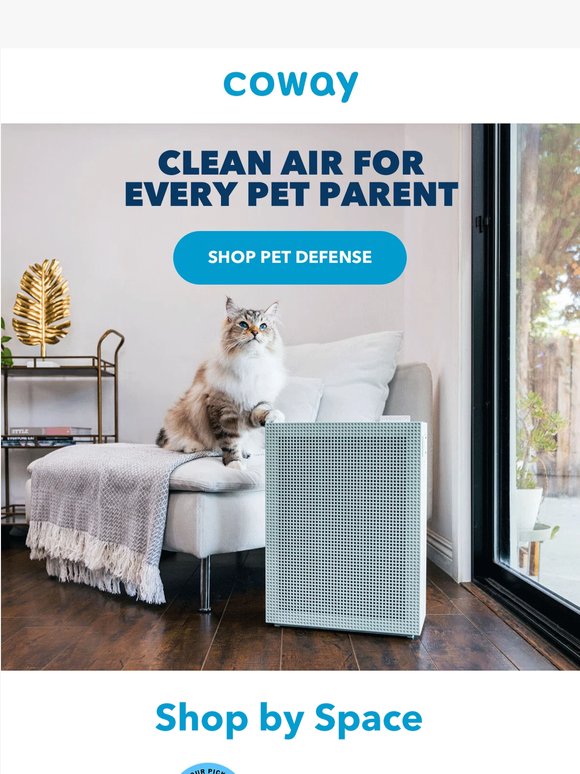 For Homes Filled With Fur, Love, and a Little Chaos