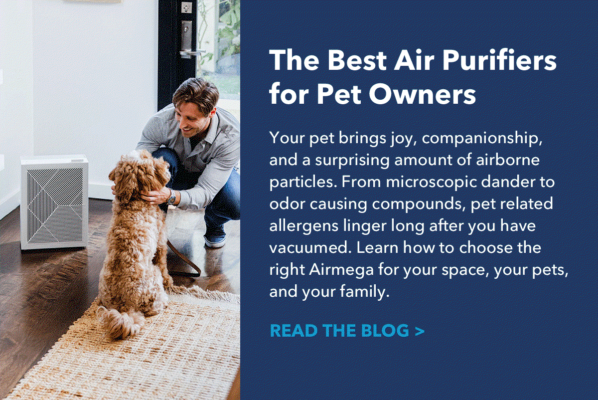 The Best Air Purifiers for Pet Owners