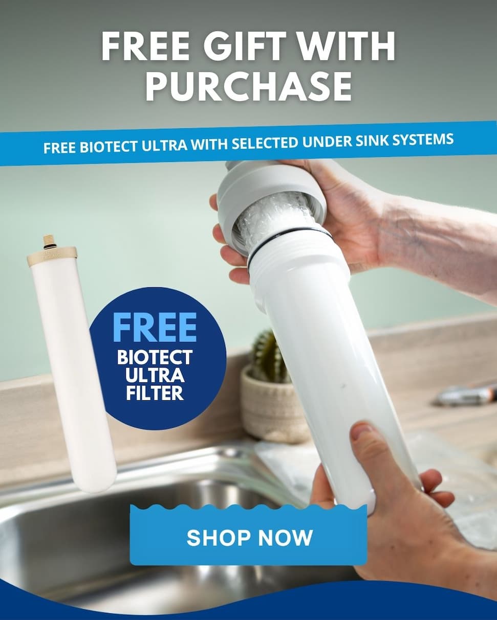 Free Gift With Purchase