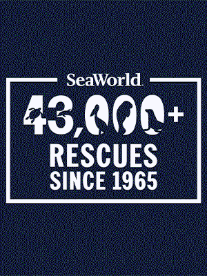 Animal Rescue