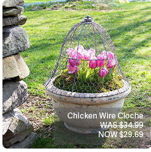 Chicken Wire Cloche -$34.99