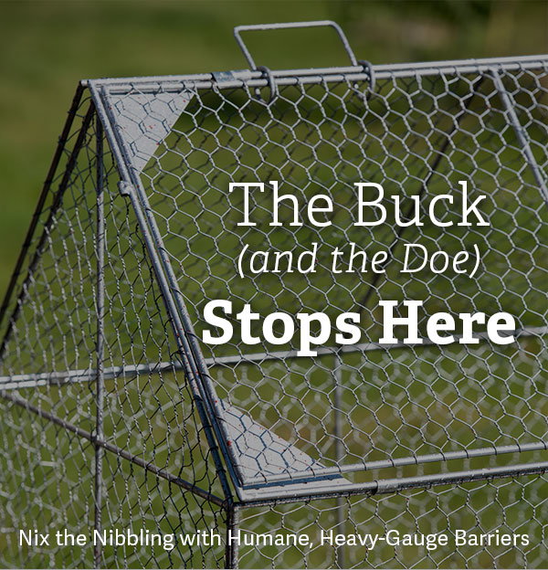 The Buck (and the Doe) Stops Here