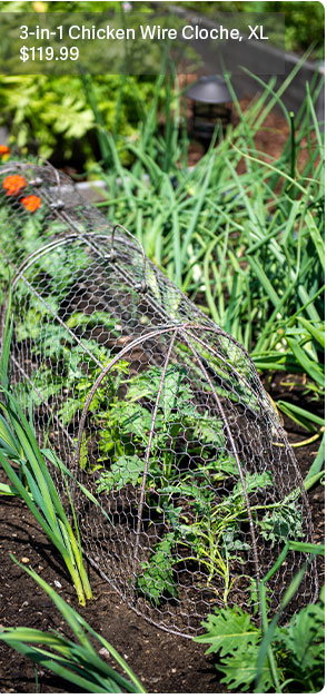 3-in-1 Chicken Wire Cloche, XL - $119.99