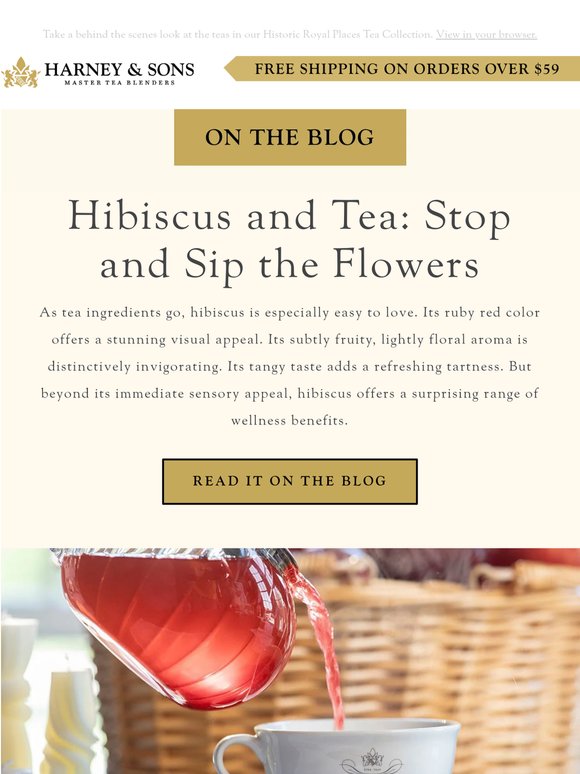 🌺 Hibiscus and Tea: Stop and Sip the Flowers