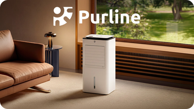 PURLINE - MP