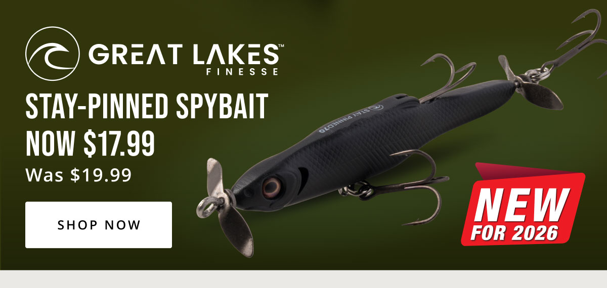 Summer Bass Gear
