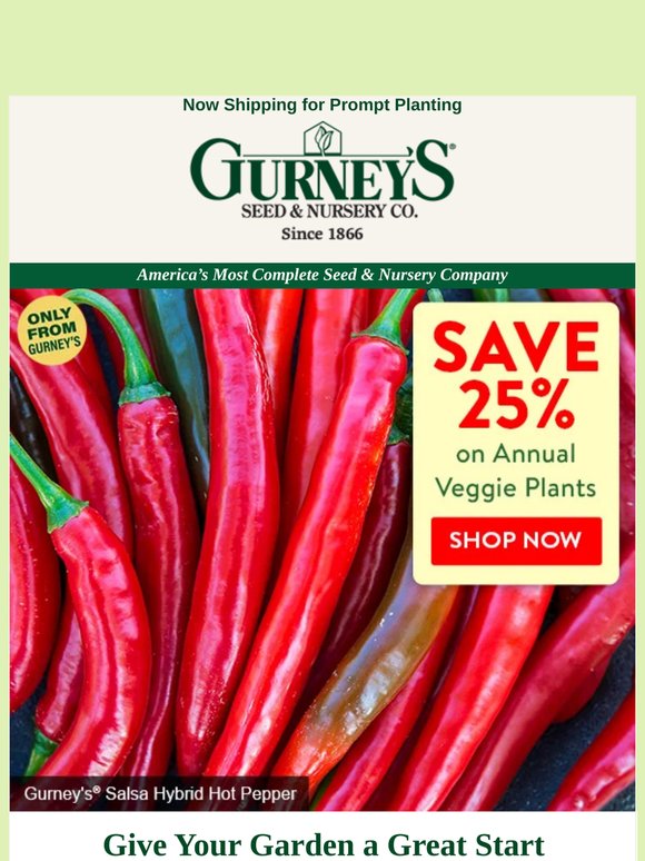 Save 25% on ALL annual veggie plants.