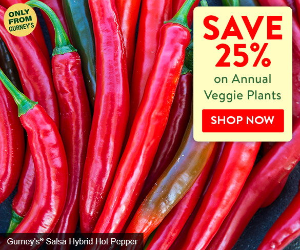 Save 25% on Annual Veggie Plants