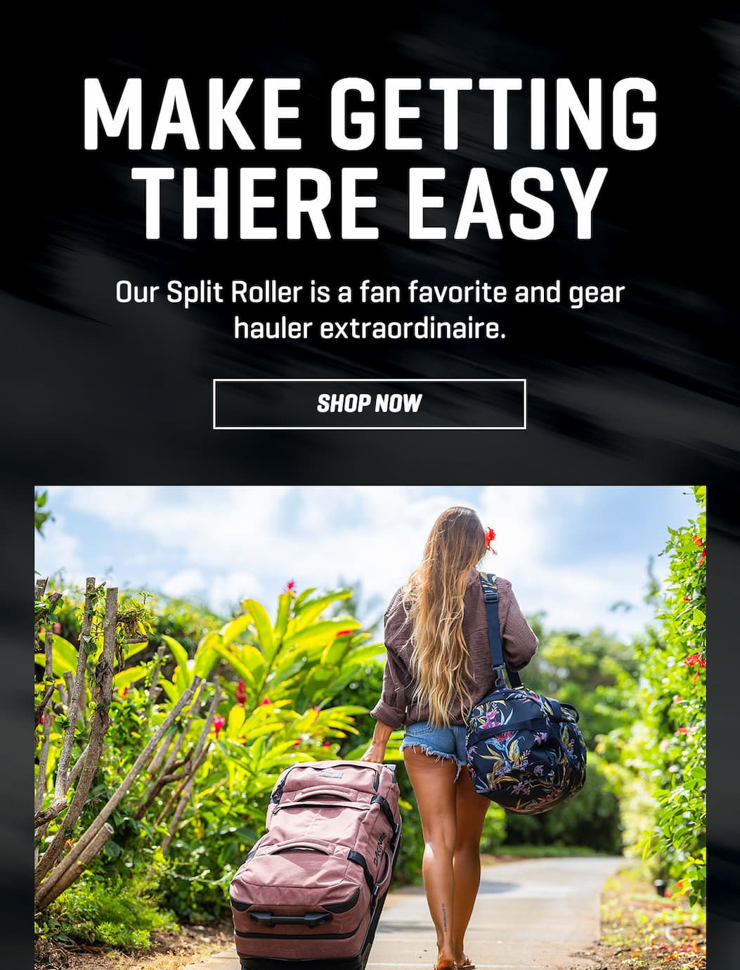 Dakine Split Roller Bags