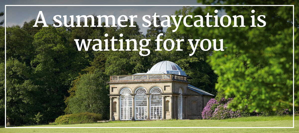 Summer Staycation