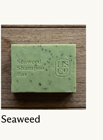 Seaweed 