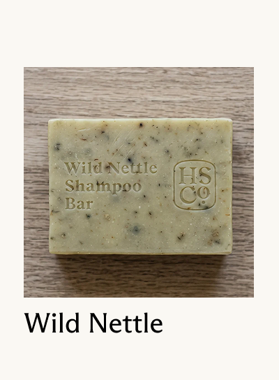 Wild Nettle
