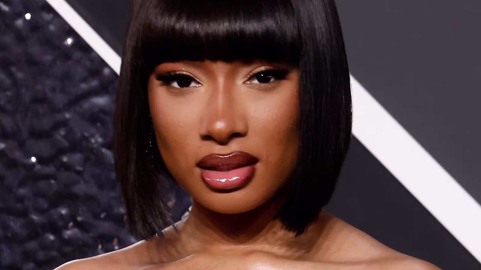 Megan Thee Stallion Just Wore The Most Snatched Ponytail Ever