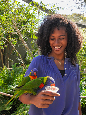 The Elite VIP Tour at Busch Gardens