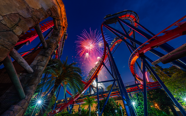 Nighttime fireworks at Busch Gardens