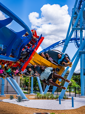 Phoenix Rising at Busch Gardens
