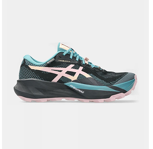 Asics Trabuco 14 GTX