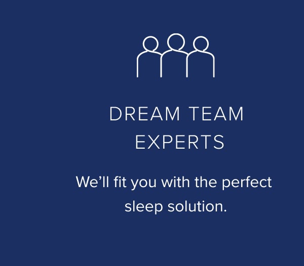 Dream Team Experts 