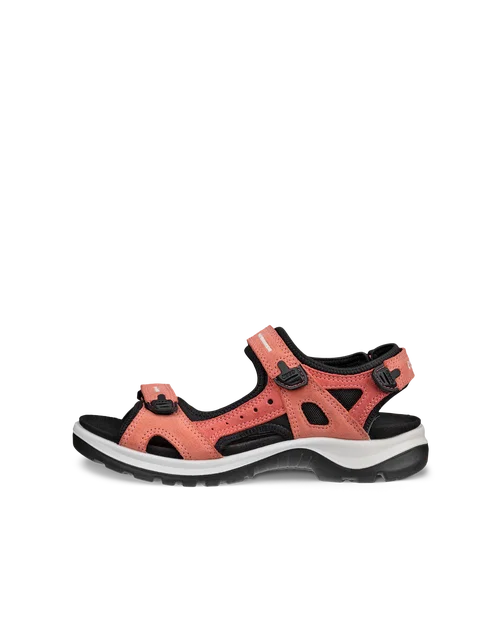 ECCO Offroad