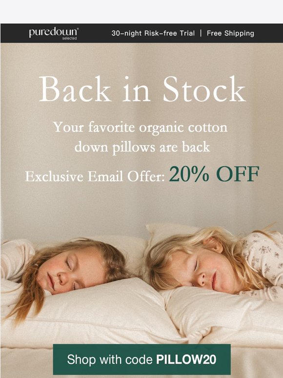 Back in Stock: 20% Off on Your Favorite Pillows!