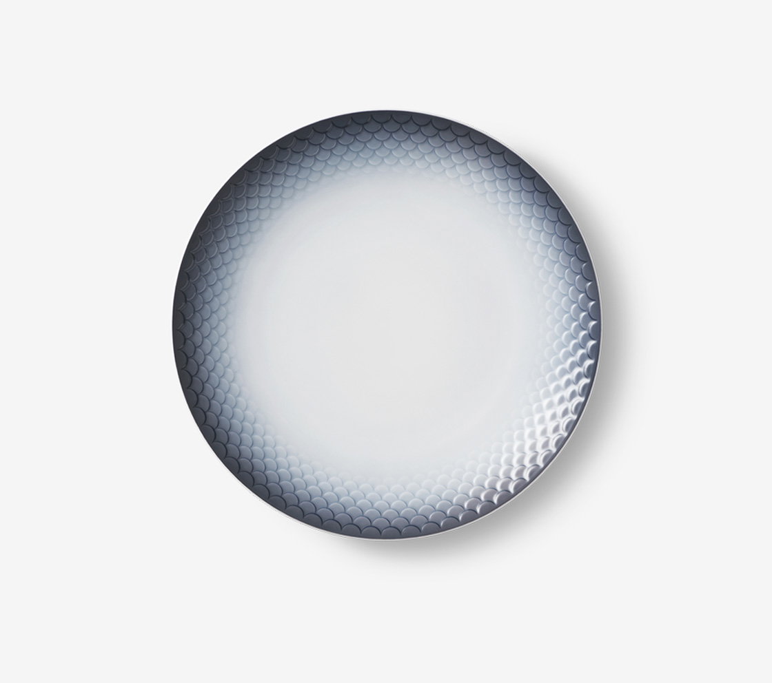 HAV plate 22 cm