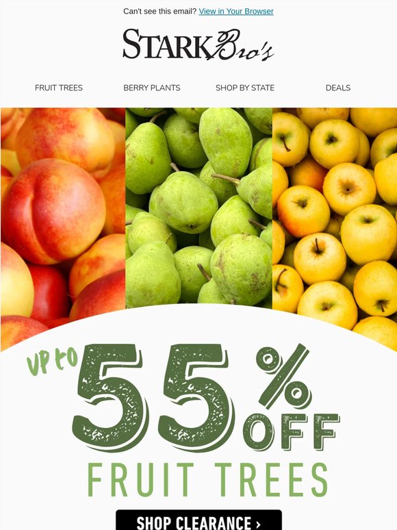 🌳🎉 Fruit Trees on Clearance