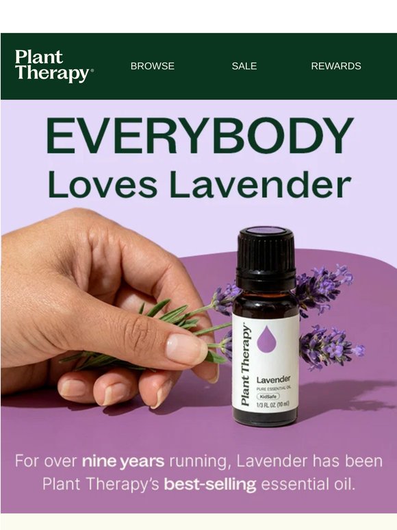 Everybody Loves Lavender 💜