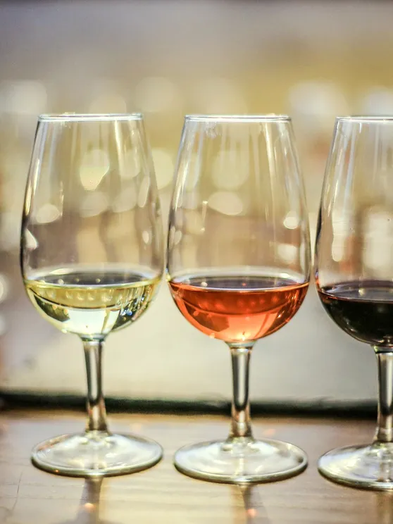 New Jersey wineries will pour everything from their seasonal best, refreshing white wines to bold, fruity sangrias along with traditional favorites at the Sip Into Summer Wine Festival, which will run from noon to 5 p.m. June 26 and 27 at Gloucester County Fairgrounds in Mullica Hill.