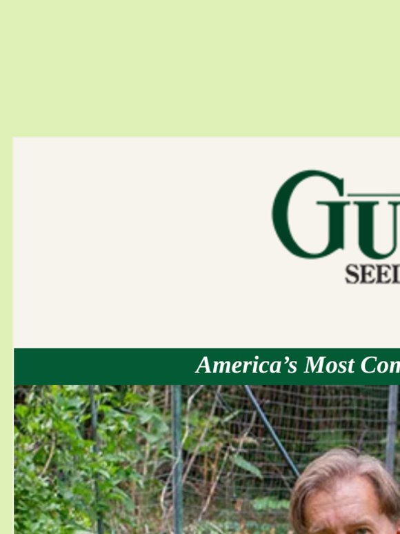 Dig In Episode 9: What's Eating My Plants?