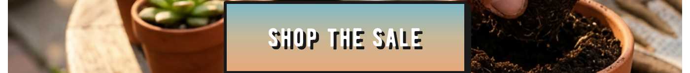 SHOP THE SALE button.