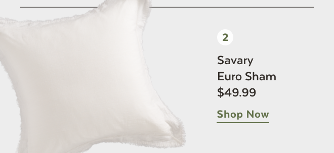 Shop Savary Euro Sham