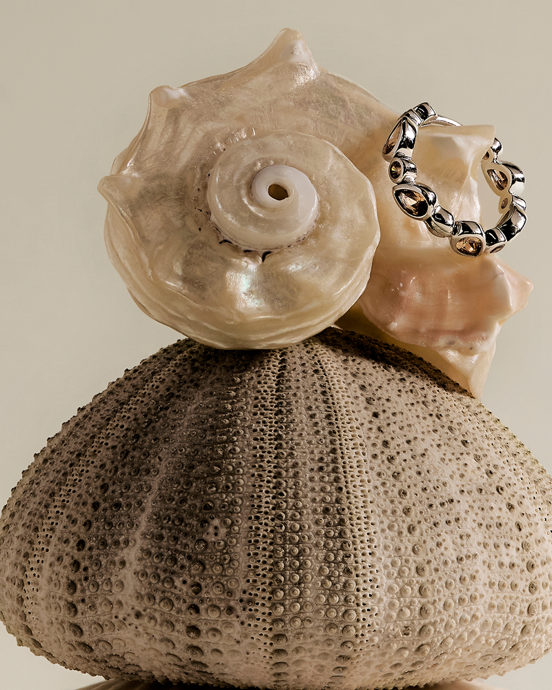 The Solstice Collection