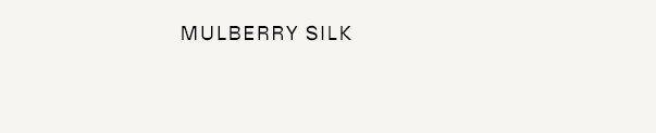 Women's Mulberry Silk