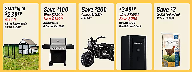 In-Store Flash Sales B1