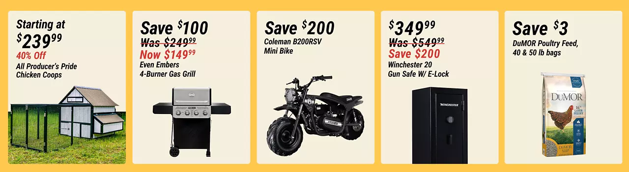 In-Store Flash Sales B1