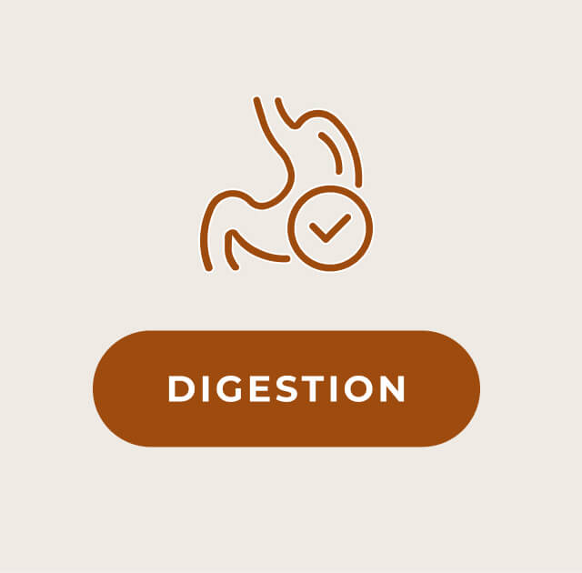 Shop Digestion >
