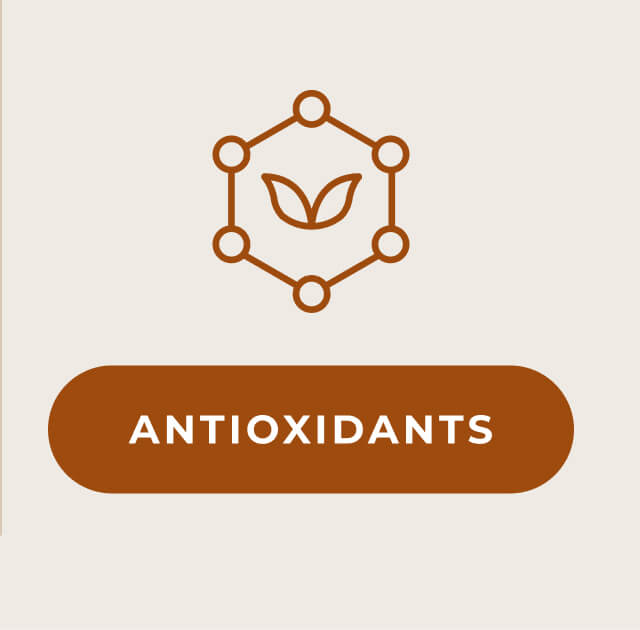 Shop Antioxidants >