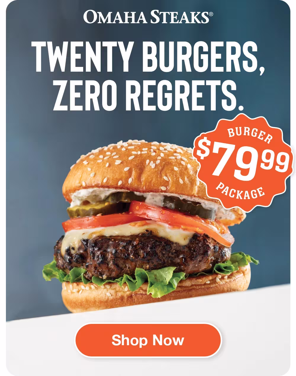 OMAHA STEAKS®

Twenty Burgers,
Zero Regrets.

$79.99
BURGER PACKAGE

SHOP NOW
