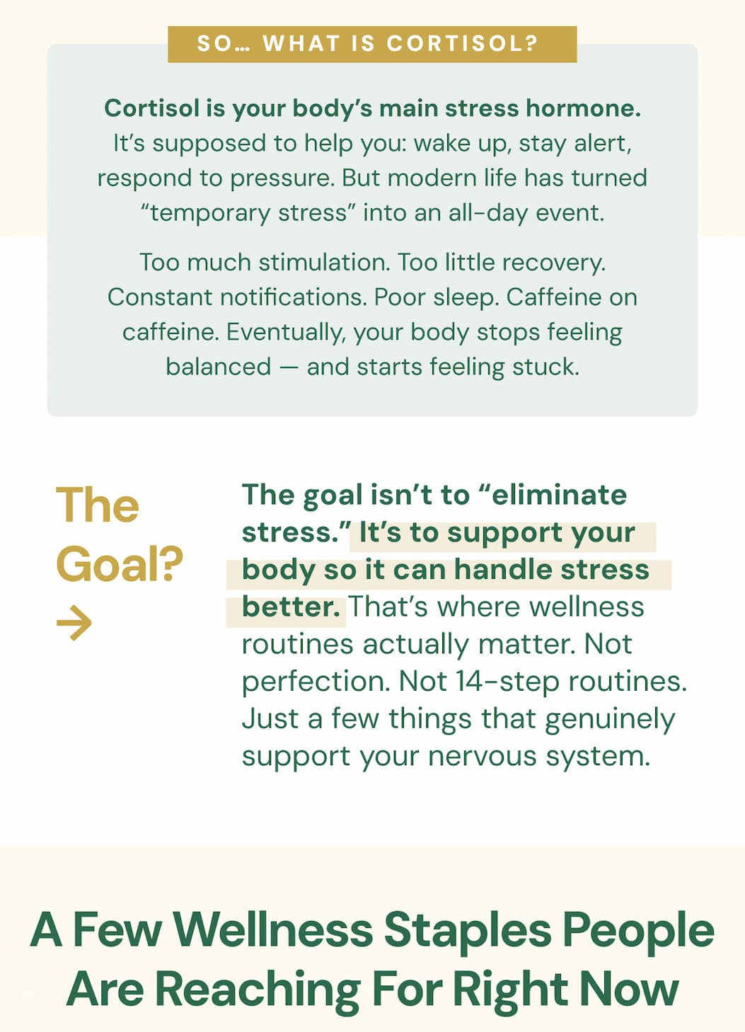 So… what is cortisol? Cortisol is your body’s main stress hormone. It’s supposed to help you: wake up, stay alert, respond to pressure. But modern life has turned “temporary stress” into an all-day event. Too much stimulation. Too little recovery. Constant notifications. Poor sleep. Caffeine on caffeine. Eventually, your body stops feeling balanced — and starts feeling stuck. The goal isn’t to “eliminate stress.” It’s to support your body so it can handle stress better. That’s where wellness routines actually matter. Not perfection. Not 14-step routines. Just a few things that genuinely support your nervous system. A Few Wellness Staples People Are Reaching For Right Now