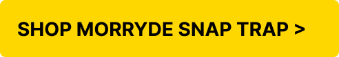shop morryde snap trap >