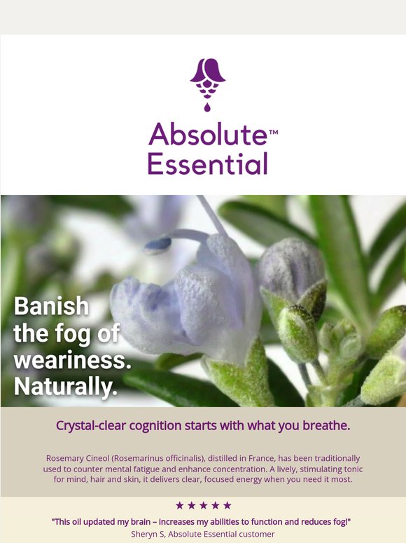 🛑 Crystal-clear cognition starts with what you breathe. Save 15%