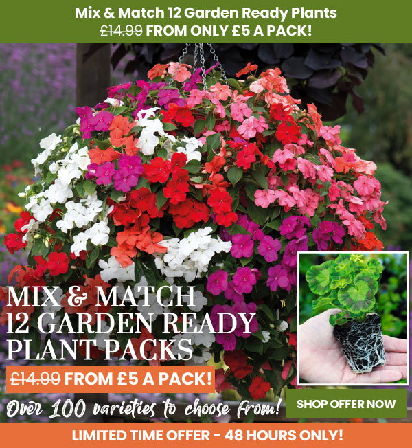 Garden Ready Mix & Match