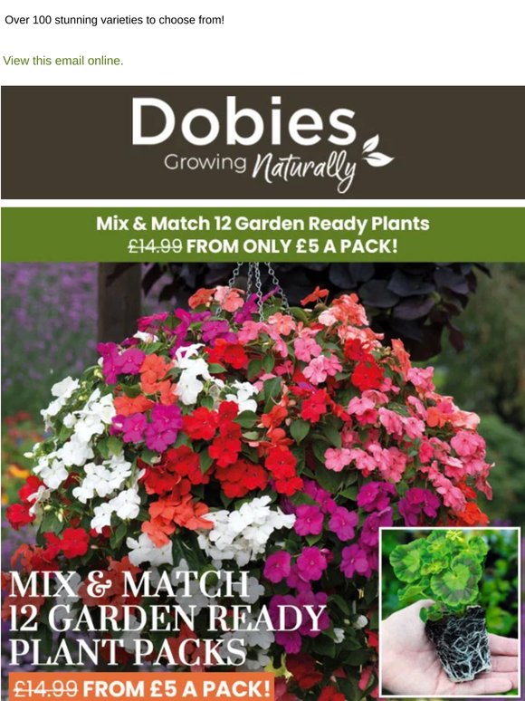 12 Garden Ready Plants FROM £5 A Pack! Mix & Match Special