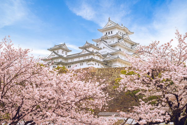 Japan Uncovered