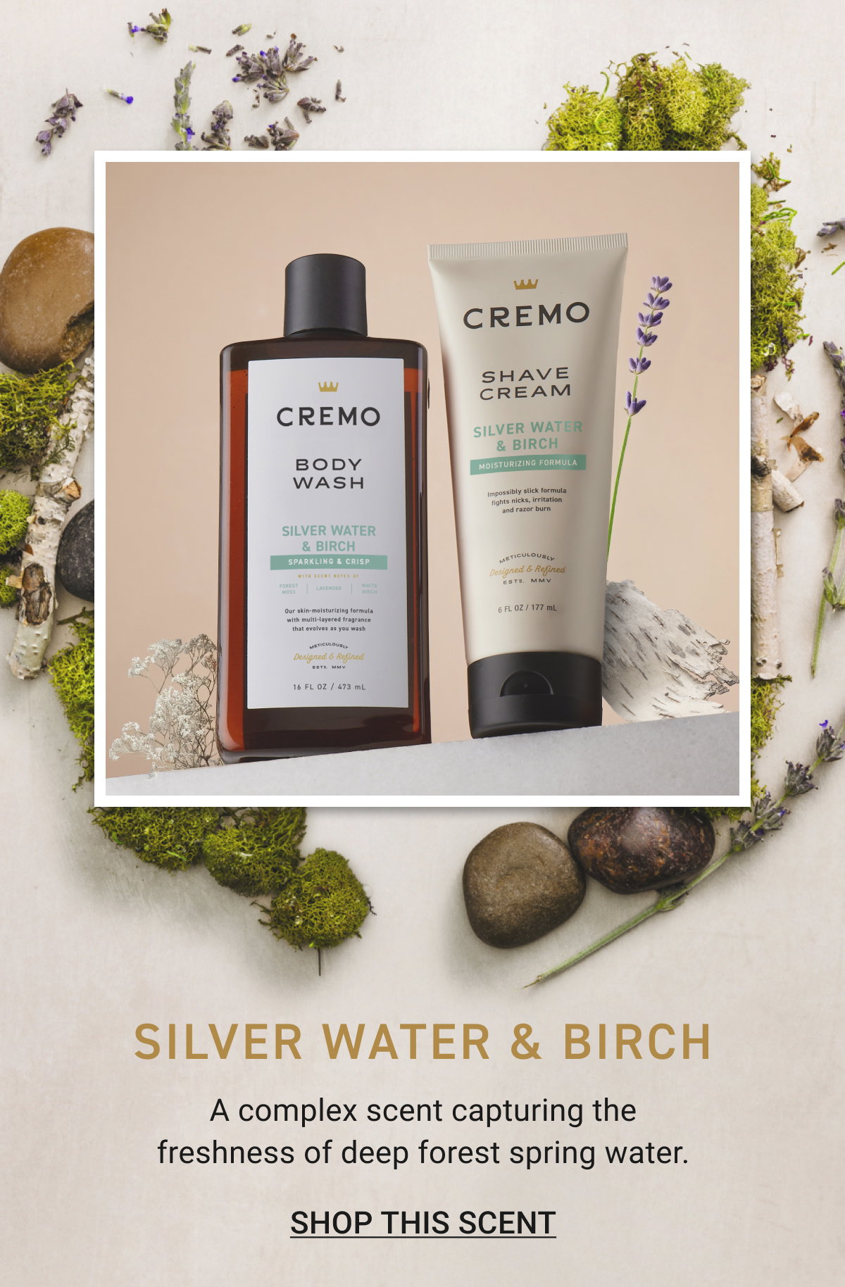 Shop Silver Water & Birch