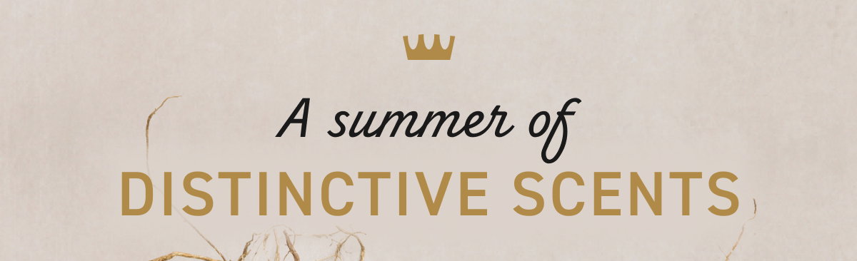 A summer of distinctive scents