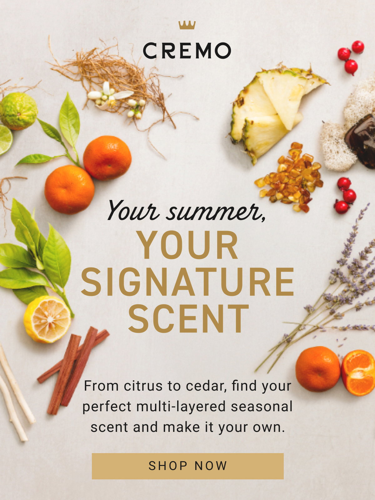 Your Summer, Your Signature Scent – Shop Now